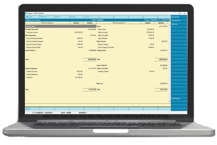 Intellignt Profit & Loss Account